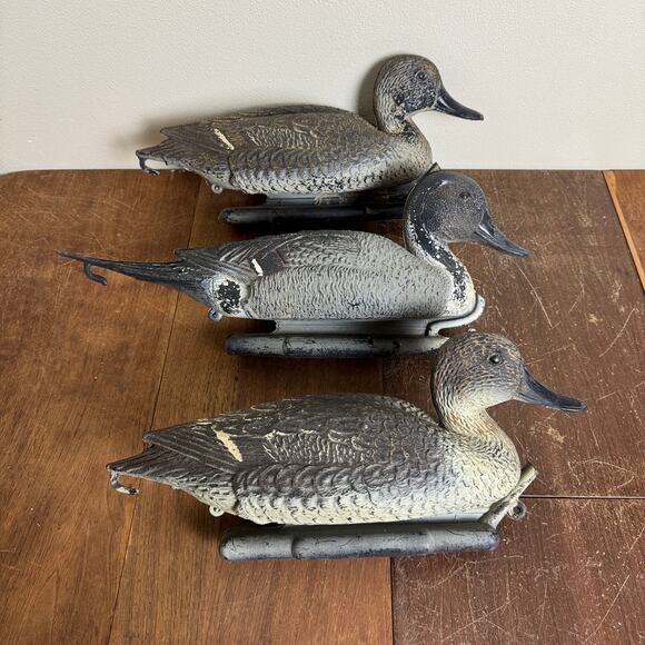 Carry Lite Duck Decoy Pintail Ducks Plastic Made In Italy 2 Hens 1 Drake - Picture 14 of 16
